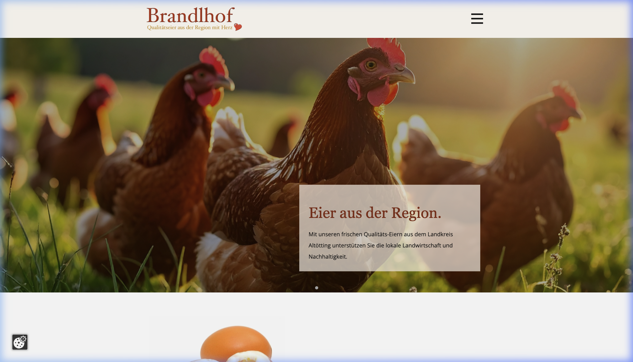 Webdesign Referenz Brandlhof Eier – Webseitengestaltung Oberbayern regionaler Betrieb